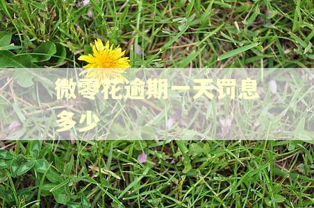 微零花逾期一天罚息多少