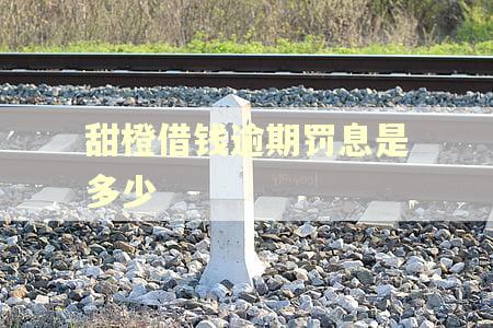 甜橙借钱逾期罚息是多少
