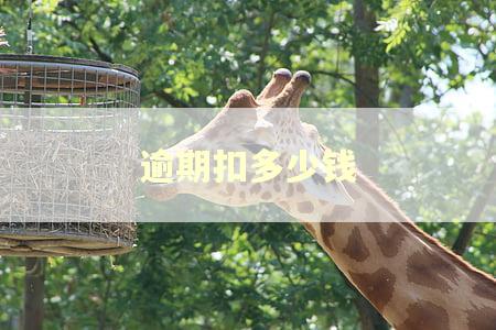 逾期扣多少钱