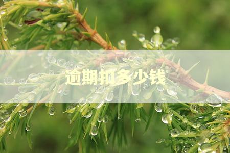 逾期扣多少钱