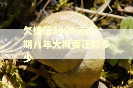 欠捷信3000元逾期八年大概要还款多少