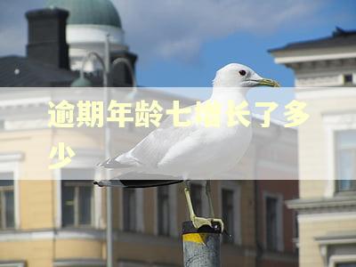 逾期年龄七增长了多少