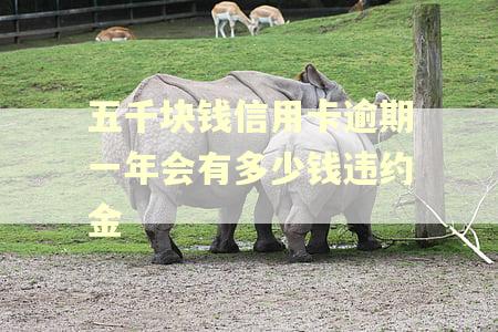 五千块钱信用卡逾期一年会有多少钱违约金