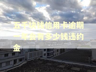 五千块钱信用卡逾期一年会有多少钱违约金