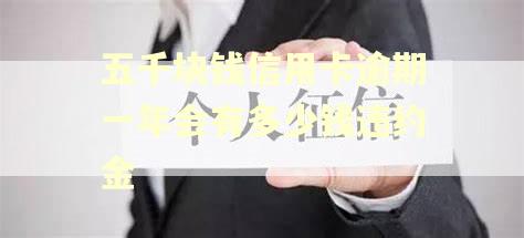 五千块钱信用卡逾期一年会有多少钱违约金 五千块钱信用卡逾期一年会有多少钱违约金