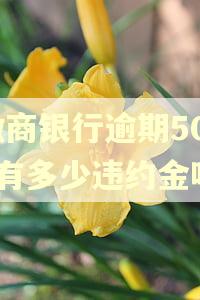 徽商银行逾期5000有多少违约金呢