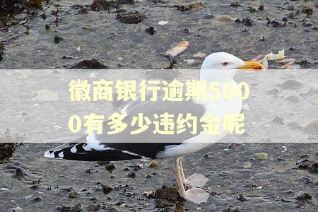 徽商银行逾期5000有多少违约金呢