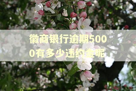 徽商银行逾期5000有多少违约金呢