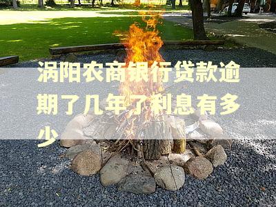 涡阳农商银行贷款逾期了几年了利息有多少