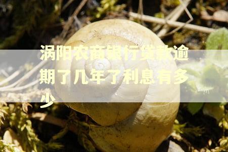 涡阳农商银行贷款逾期了几年了利息有多少