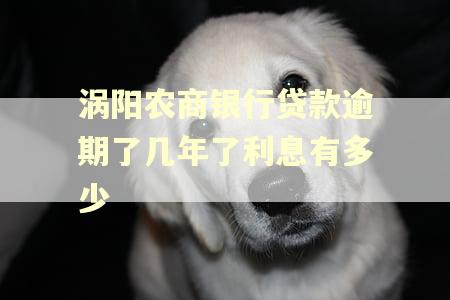 涡阳农商银行贷款逾期了几年了利息有多少 涡阳农商银行贷款逾期了几年了利息有多少