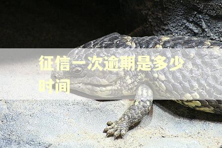 征信一次逾期是多少时间