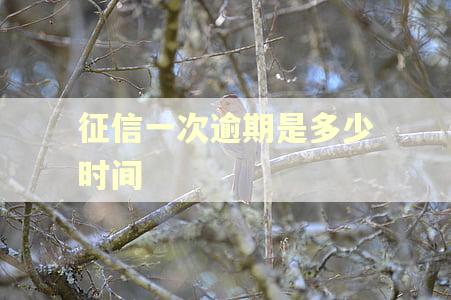 征信一次逾期是多少时间