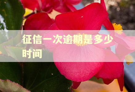 征信一次逾期是多少时间 征信一次逾期是多少时间