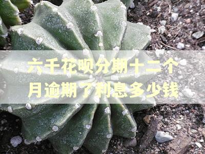六千花呗分期十二个月逾期了利息多少钱