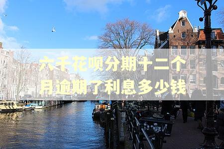 六千花呗分期十二个月逾期了利息多少钱