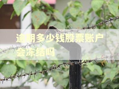 逾期多少钱股票账户会冻结吗