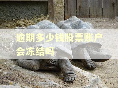 逾期多少钱股票账户会冻结吗 逾期多少钱股票账户会冻结吗
