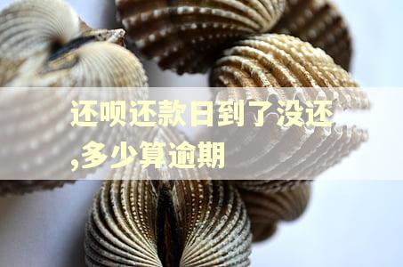 还呗还款日到了没还,多少算逾期 还呗还款日到了没还,多少算逾期