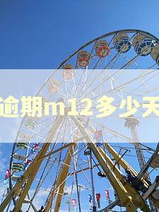 逾期m12多少天