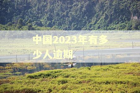 中国2023年有多少人逾期