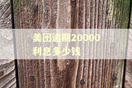 美团逾期20000利息多少钱