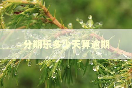 分期乐多少天算逾期