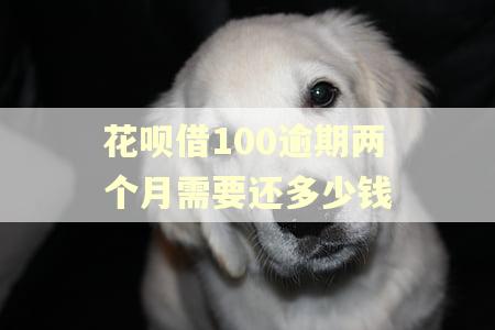 花呗借100逾期两个月需要还多少钱