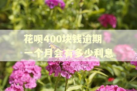 花呗400块钱逾期一个月会有多少利息