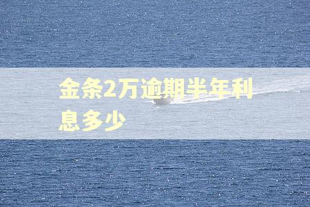 金条2万逾期半年利息多少