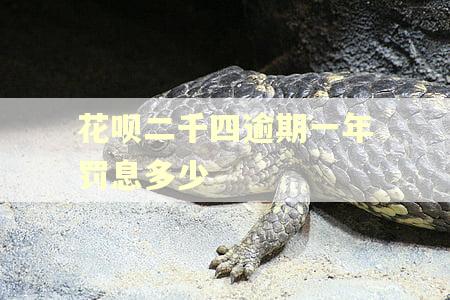 花呗二千四逾期一年罚息多少