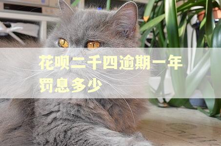 花呗二千四逾期一年罚息多少
