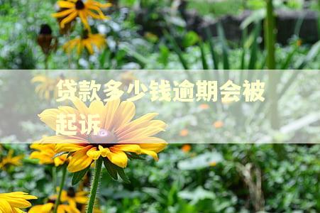 贷款多少钱逾期会被起诉