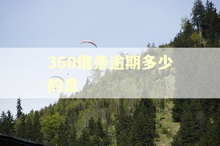 360借条逾期多少的息