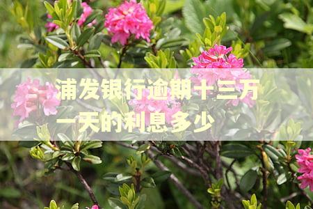 浦发银行逾期十三万一天的利息多少