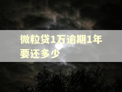 微粒贷1万逾期1年要还多少 微粒贷1万逾期1年要还多少
