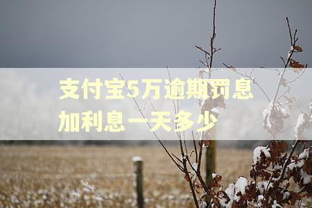 支付宝5万逾期罚息加利息一天多少 支付宝5万逾期罚息加利息一天多少
