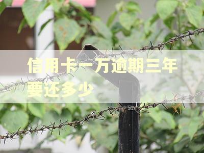 信用卡一万逾期三年要还多少
