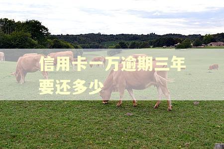 信用卡一万逾期三年要还多少 信用卡一万逾期三年要还多少