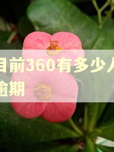 目前360有多少人逾期
