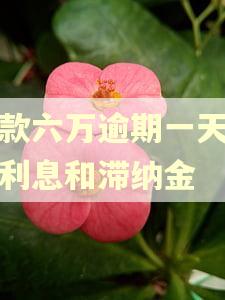 贷款六万逾期一天多少利息和滞纳金