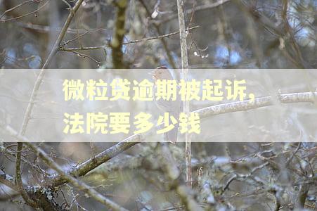 微粒贷逾期被起诉,法院要多少钱