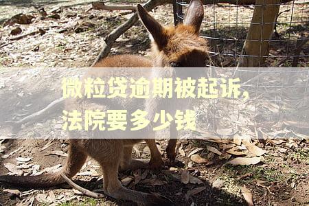 微粒贷逾期被起诉,法院要多少钱