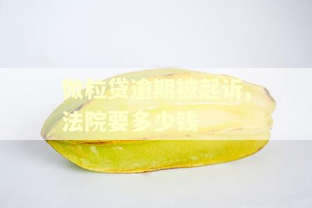 微粒贷逾期被起诉,法院要多少钱