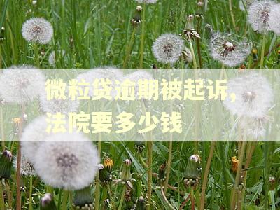 微粒贷逾期被起诉,法院要多少钱 微粒贷逾期被起诉,法院要多少钱