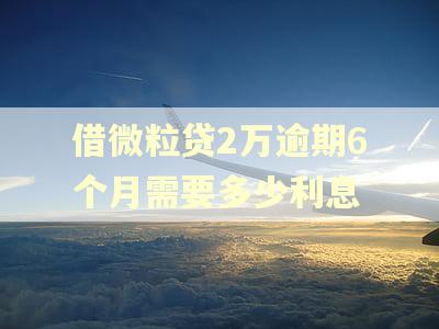 借微粒贷2万逾期6个月需要多少利息