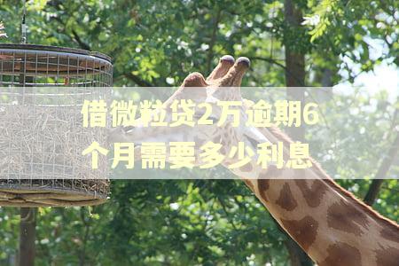 借微粒贷2万逾期6个月需要多少利息