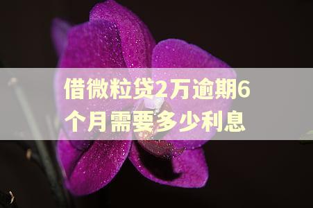 借微粒贷2万逾期6个月需要多少利息 借微粒贷2万逾期6个月需要多少利息