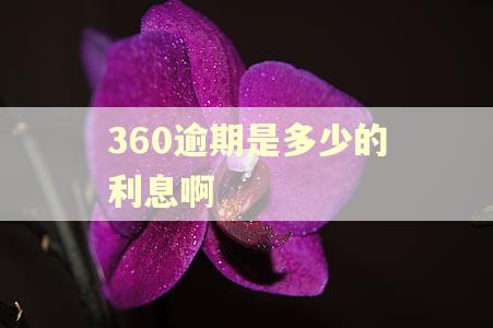 360逾期是多少的利息啊