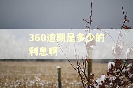 360逾期是多少的利息啊 360逾期是多少的利息啊
